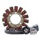 Rmstator Generator Stator For Yamaha YXR700 Rhino/YXM700/YXC700 Viking VI 2008-2024 OEM# 1XD-81410-00-00 5B4 RM01191 - alternate 2
